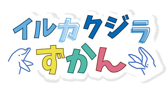 イルカ・クジラずかん